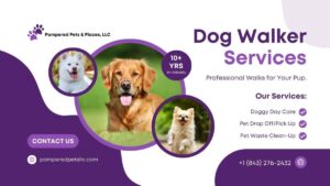 Dog walking flyer by Pampered Pets & Places, LLC with daycare, pickup, and pet clean-up services